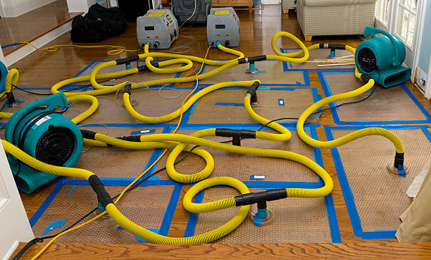 Professional Basement Flood Cleanup technician working in Amery, WI